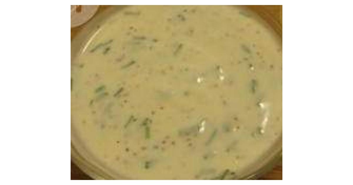 Sauce au yaourt par cilou des hauts de france. Une recette de fan à